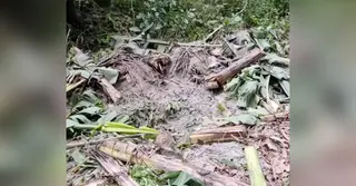 জাজিরায় ককটেল বিস্ফোরণ; আধিপত্যের জেরে অশান্ত বিলাশপুর, তদন্তে পুলিশ